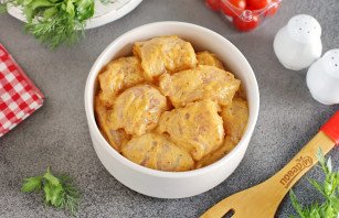 Вкусный маринад для шашлыка из курицы Вкусный маринад для шашлыка из курицы