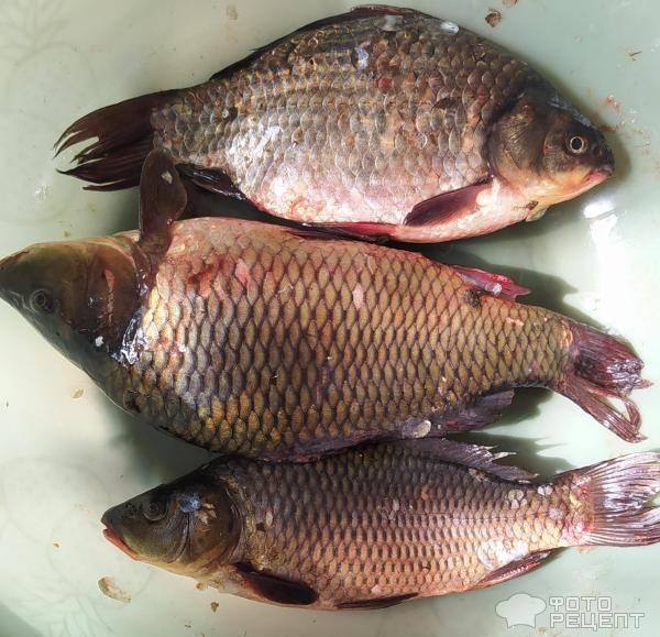 Рецепт: Карп запеченный - в духовке со сметаной и луком. Рецепт: Карп запеченный - в духовке со сметаной и луком.