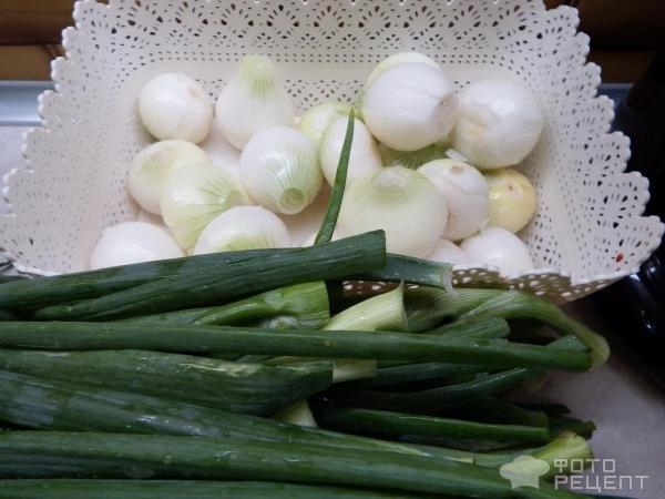 Рецепт: Зеленый лук в заморозку - Зимой как найдете Рецепт: Зеленый лук в заморозку - Зимой как найдете