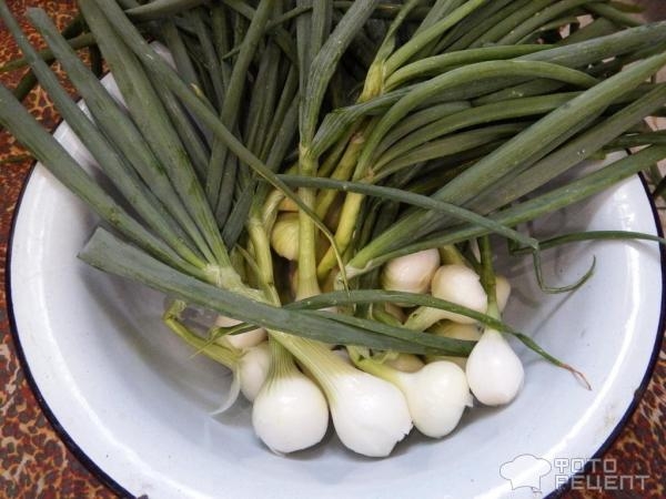 Рецепт: Зеленый лук в заморозку - Зимой как найдете Рецепт: Зеленый лук в заморозку - Зимой как найдете