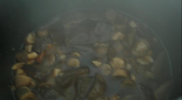 Лечо с грибами, пошаговый рецепт с фото