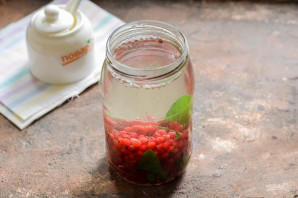 Компот из красной смородины с мятой на зиму Компот из красной смородины с мятой на зиму