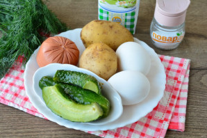 Окрошка с маринованными огурцами Окрошка с маринованными огурцами