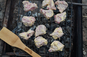 Шашлык с горчицей и майонезом Шашлык с горчицей и майонезом