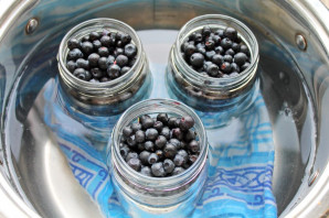 Черника без сахара на зиму Черника без сахара на зиму