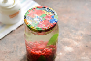 Компот из красной смородины с мятой на зиму Компот из красной смородины с мятой на зиму