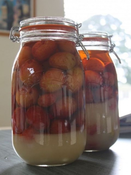 
Настойка из сливы на водке в домашних условиях простой рецепт	