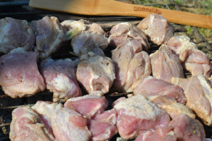 Шашлык за час Шашлык за час