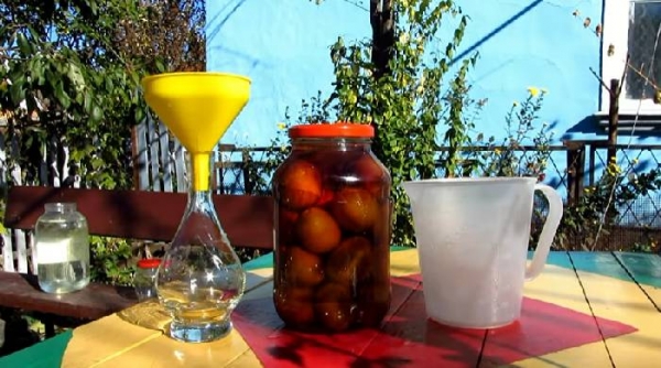 
Настойка из сливы на водке в домашних условиях простой рецепт	