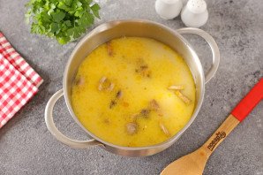 Грибной суп с баклажанами на молоке Грибной суп с баклажанами на молоке