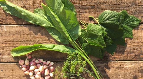 Солёные огурцы, пошаговый рецепт с фото