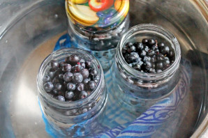 Черника без сахара на зиму Черника без сахара на зиму