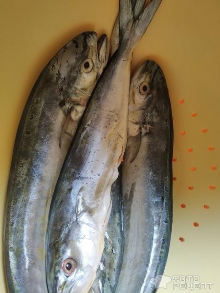 Рецепт: Рыба Охотник с помидорами - в дкховке Рецепт: Рыба Охотник с помидорами - в дкховке