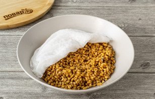 Хлебцы из пророщенной пшеницы Хлебцы из пророщенной пшеницы