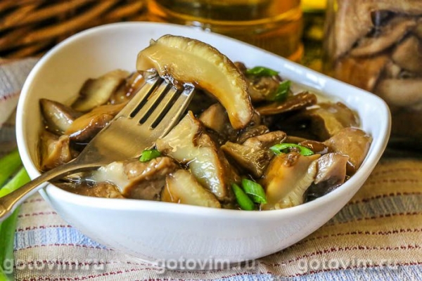 Соленые польские грибы в банке Соленые польские грибы в банке