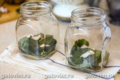 Соленые польские грибы в банке Соленые польские грибы в банке