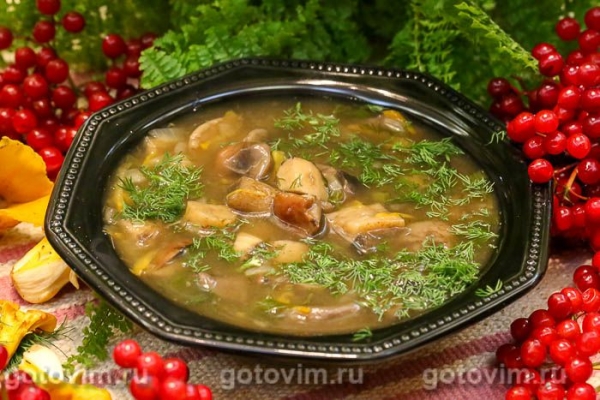 Суп из подосиновиков 