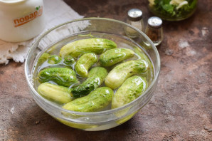 Малосольные огурцы с кинзой и чесноком Малосольные огурцы с кинзой и чесноком