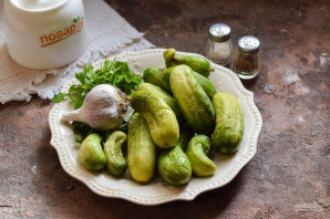 Малосольные огурцы с кинзой и чесноком Малосольные огурцы с кинзой и чесноком