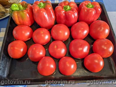 Овощное рагу с баклажанами на зиму (заморозка) Овощное рагу с баклажанами на зиму (заморозка)