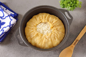 Газмаг для плова