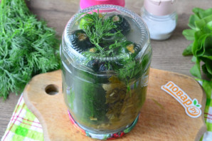 Огурцы с щавелем на зиму Огурцы с щавелем на зиму