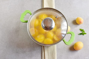 Абрикосовый компот Абрикосовый компот