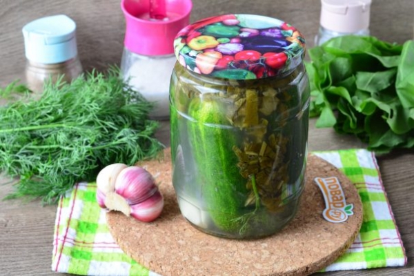 Огурцы с щавелем на зиму Огурцы с щавелем на зиму