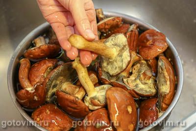 Соленые польские грибы в банке Соленые польские грибы в банке