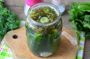 Огурцы с щавелем на зиму Огурцы с щавелем на зиму