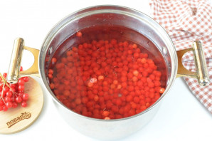 Компот из калины Компот из калины