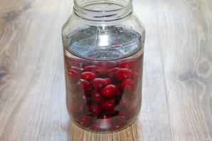 Вишневая наливка на водке в домашних условиях Вишневая наливка на водке в домашних условиях