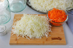 Капуста соленая на зиму Капуста соленая на зиму