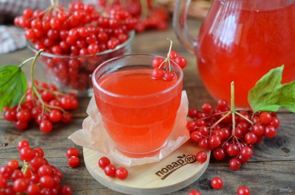 Компот из калины Компот из калины