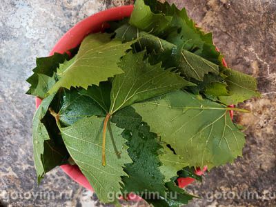 Маринованные виноградные листья на зиму