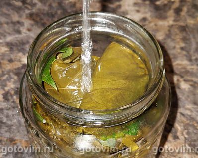 Маринованные виноградные листья на зиму