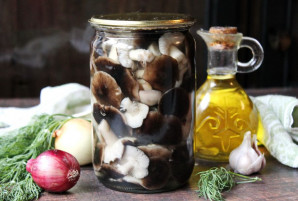 Маринованные рядовки на зиму Маринованные рядовки на зиму