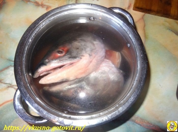 
Рыбный суп из головы красной рыбы — суп из рыбьих голов в домашних условиях	