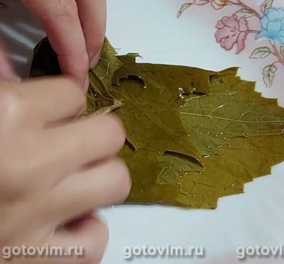 Маринованные виноградные листья на зиму