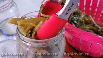 Портулак маринованный Портулак маринованный