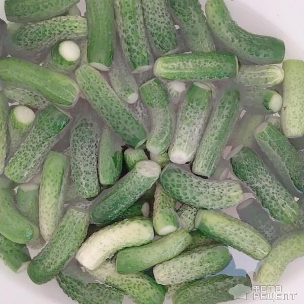 Рецепт: Маринованные огурчики - Хрустящие, с зёрнами горчицы. Рецепт: Маринованные огурчики - Хрустящие, с зёрнами горчицы.