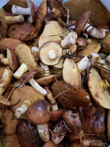 Рецепт: Маслята жареные на зиму - Осенние маслята в растительном масле