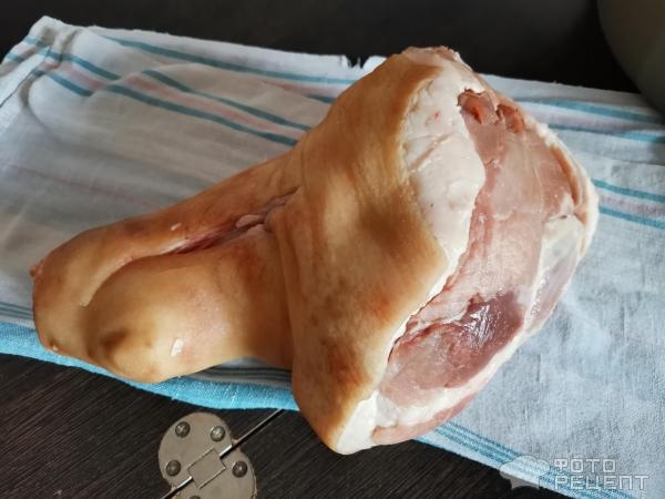 Рецепт: Томленая свиная рулька - Великолепная свиная рулька в духовке! Рецепт: Томленая свиная рулька - Великолепная свиная рулька в духовке!