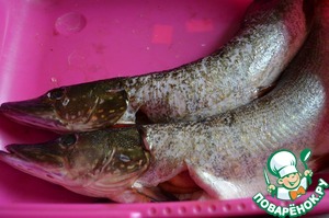 Щука в сметане по-деревенски Щука в сметане по-деревенски