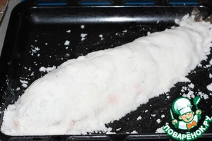 Терпуг в соляном панцире Терпуг в соляном панцире