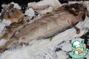 Терпуг в соляном панцире Терпуг в соляном панцире