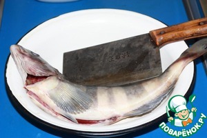 Терпуг в соляном панцире Терпуг в соляном панцире