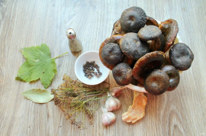 Засолка груздей сухим способом