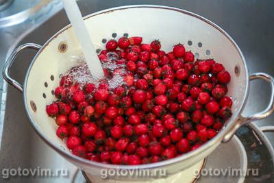 Сушеный боярышник Сушеный боярышник