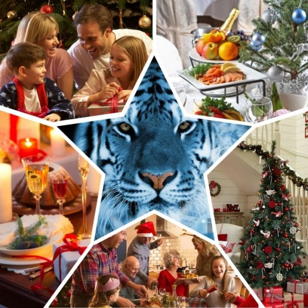 Что приготовить на Новый 2022 год Тигра нового и интересного. Меню на новогодний стол
Что приготовить на Новый 2022 год Тигра нового и интересного. Меню на новогодний стол